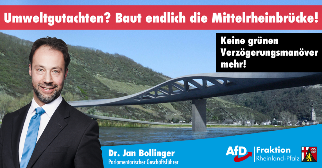 Dr Bollinger BautEndlichDieBruecke AfD Vulkaneifel Daun